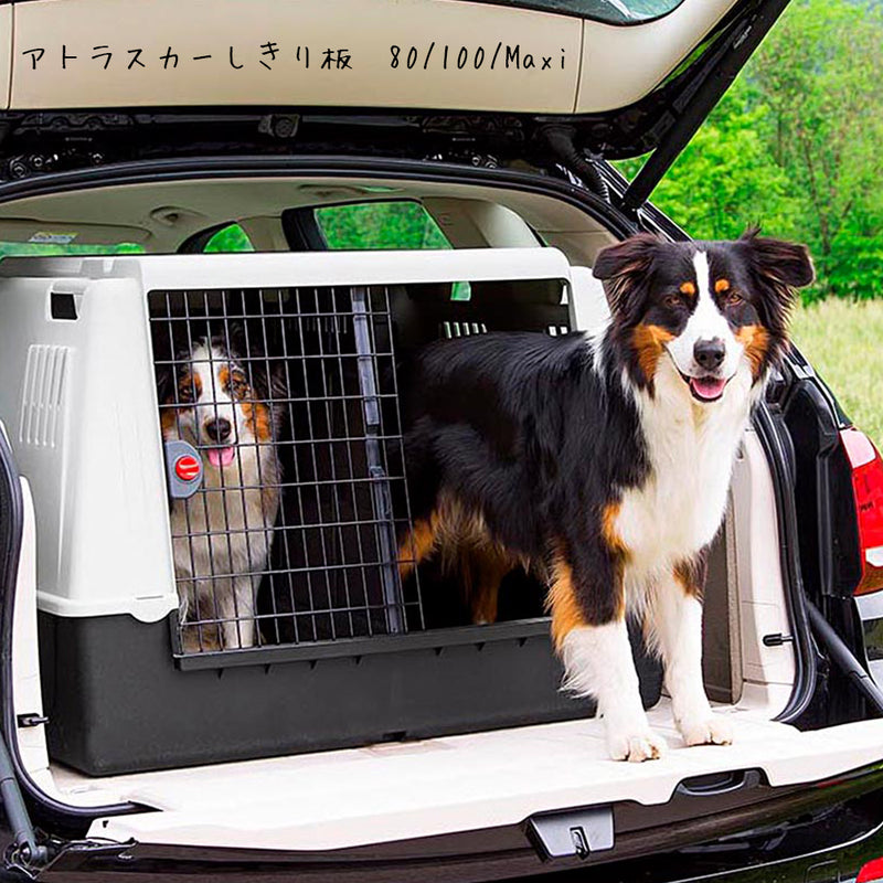アトラスカーしきり板　80/100/Maxi