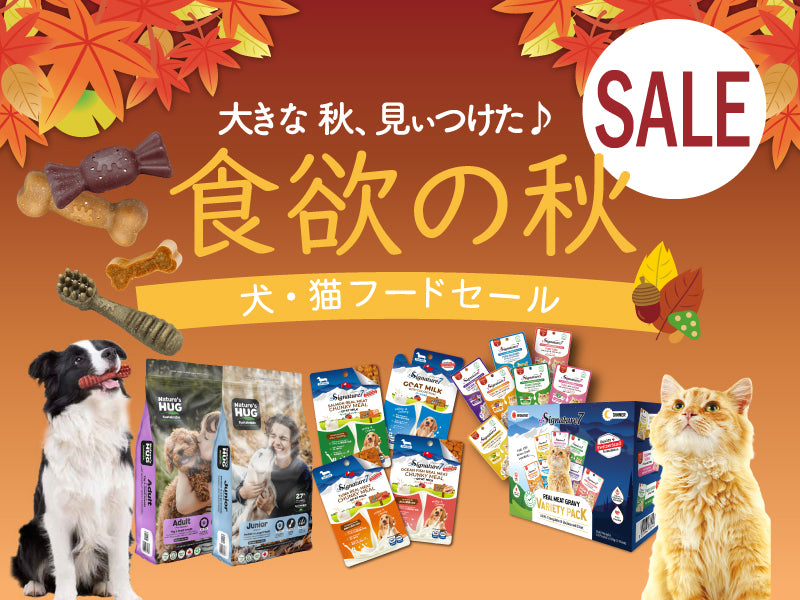 https://www.fanta-shop.jp/collections/autumnappetite