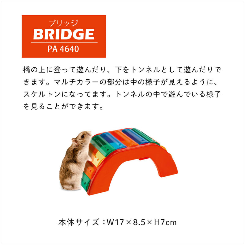 ハムスターおもちゃ ブリッジ BRIDGE/クシー KUCI