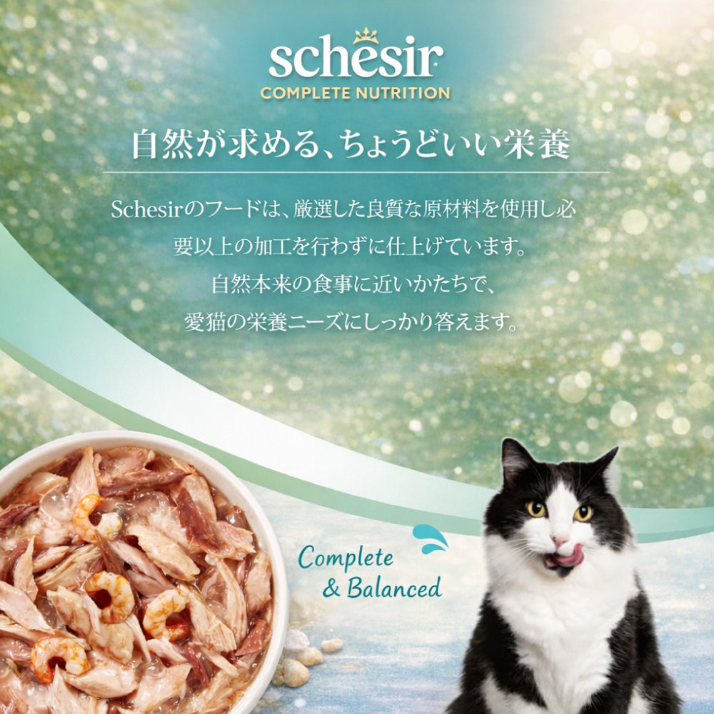 選べる6種類 成猫用 シシア ゼリータイプ 85g 総合栄養食