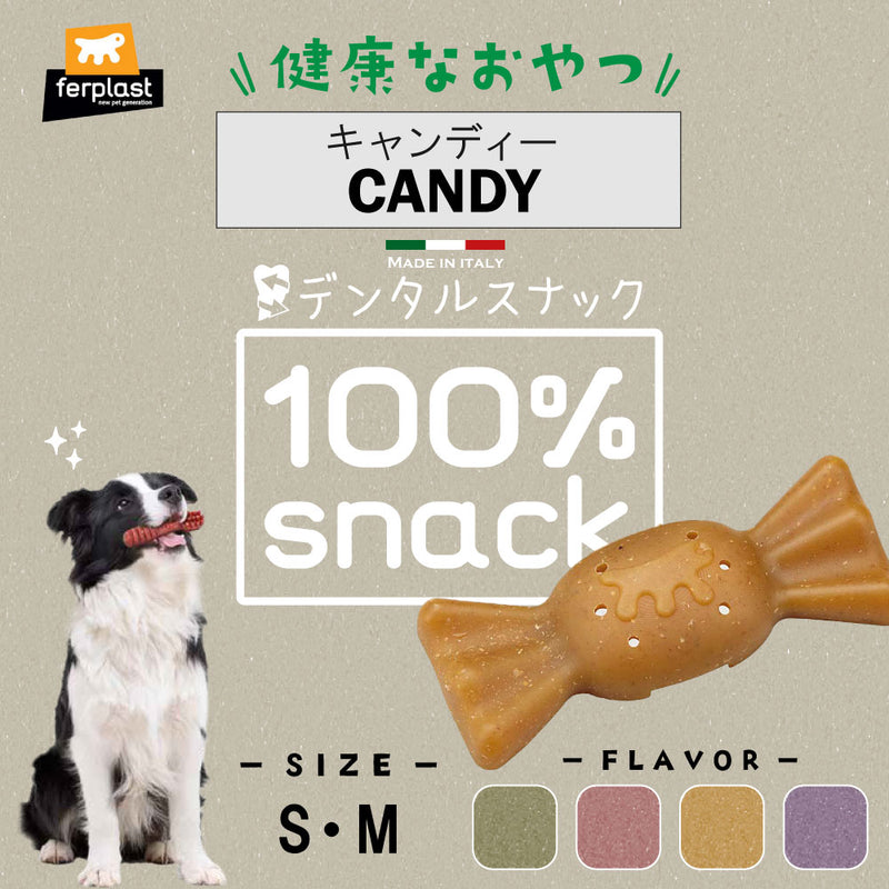 【期限切迫特価】ベジタリアン デンタル スナック 犬用 おやつ 歯みがき ガム