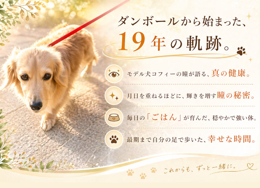 https://www.fanta-shop.jp/blogs/column/coffy