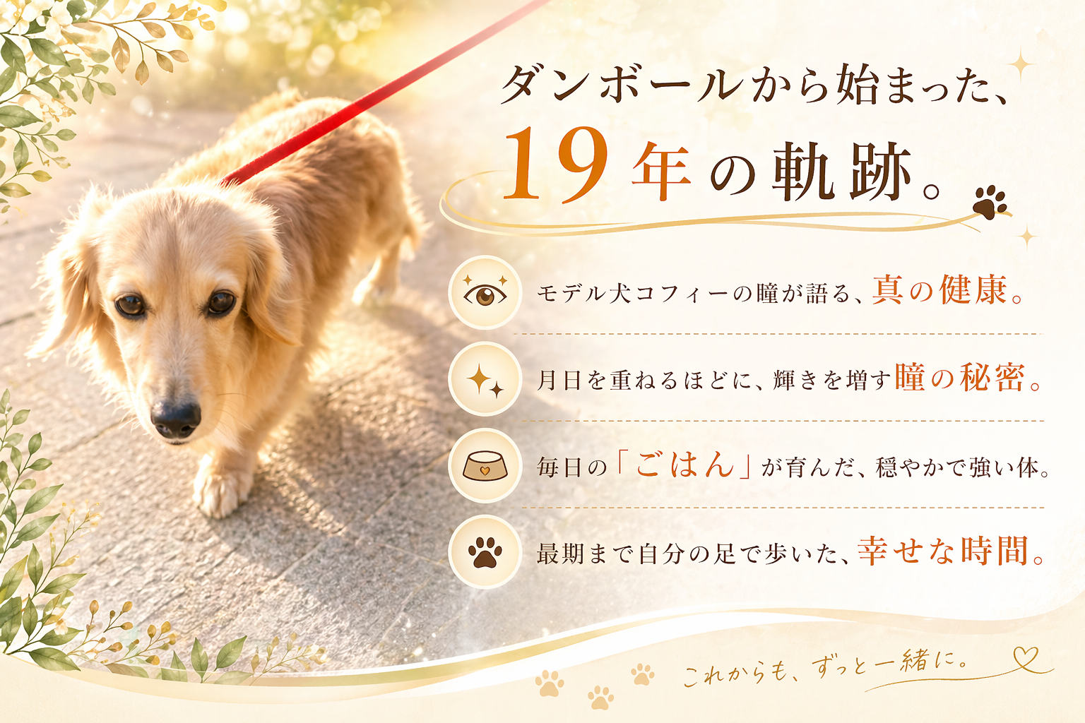 https://www.fanta-shop.jp/blogs/column/coffy