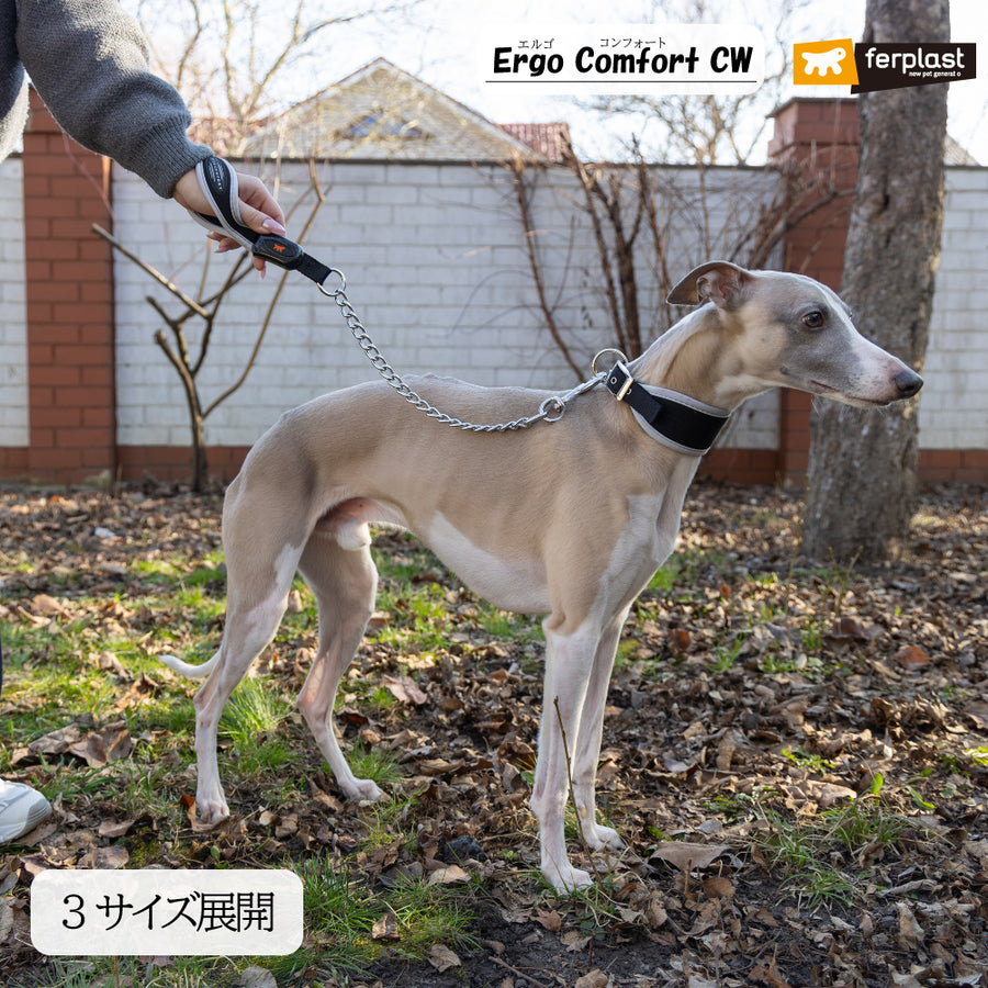 首長犬 首の長い犬種に最適な首輪 エルゴ コンフォート ERGO COMFORT CW