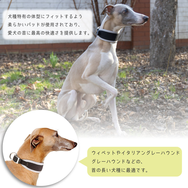 首長犬 首の長い犬種に最適な首輪 エルゴ コンフォート ERGO COMFORT CW