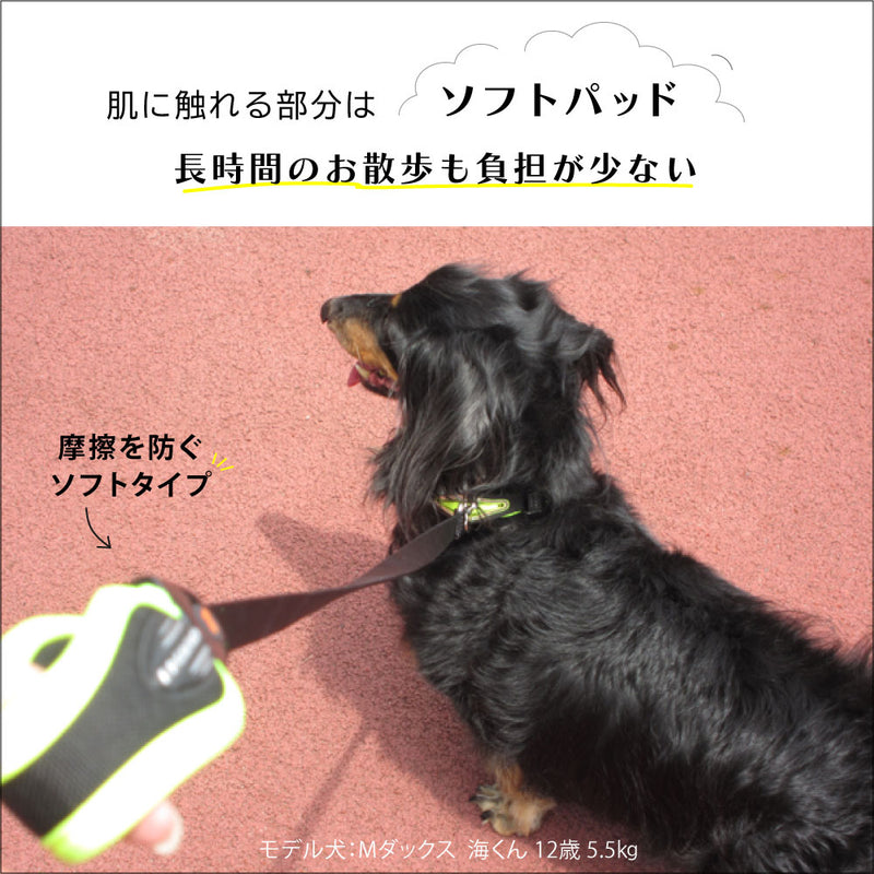 エルゴコンフォート フルオ G リード Ergo Comfort Fluo G
