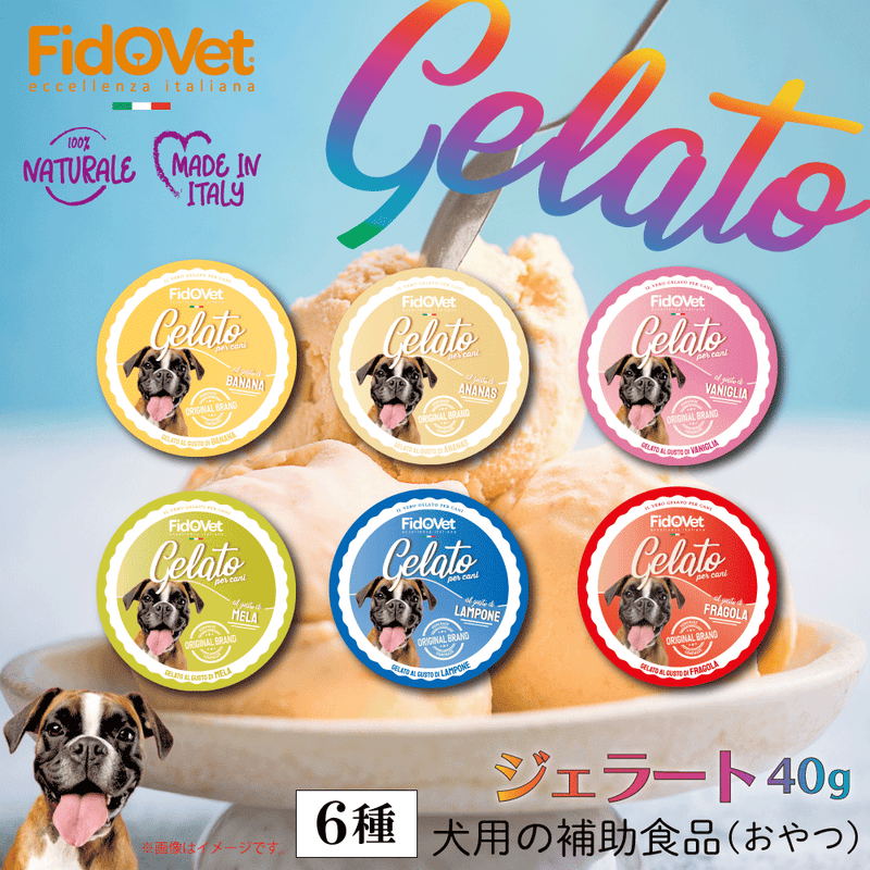 【期限切迫特価】FidOVet フィドベット ジェラート 40ｇ 犬 おやつ アイス