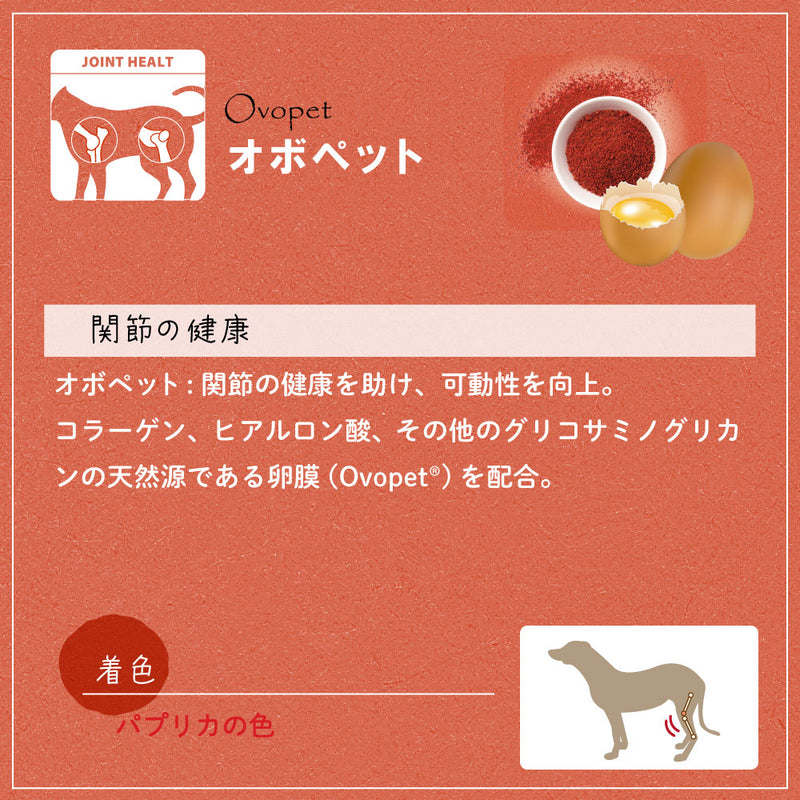 【期限切迫特価】ベジタリアン デンタル スナック 犬用 おやつ 歯みがき ガム