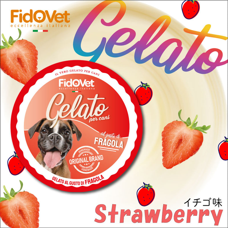 【期限切迫特価】FidOVet フィドベット ジェラート 40ｇ 犬 おやつ アイス