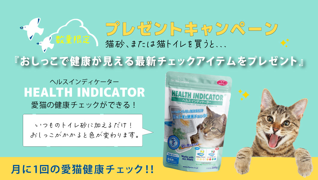 https://www.fanta-shop.jp/search?type=product&q=%E4%BB%8A%E3%81%A0%E3%81%91%E3%83%97%E3%83%AC%E3%82%BC%E3%83%B3%E3%83%88%E3%80%80%E3%83%88%E3%82%A4%E3%83%AC*