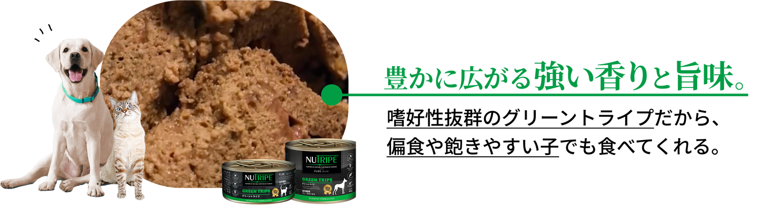 嗜好性抜群のグリーントライプだから、偏食や飽きやすい子でも食べてくれる。