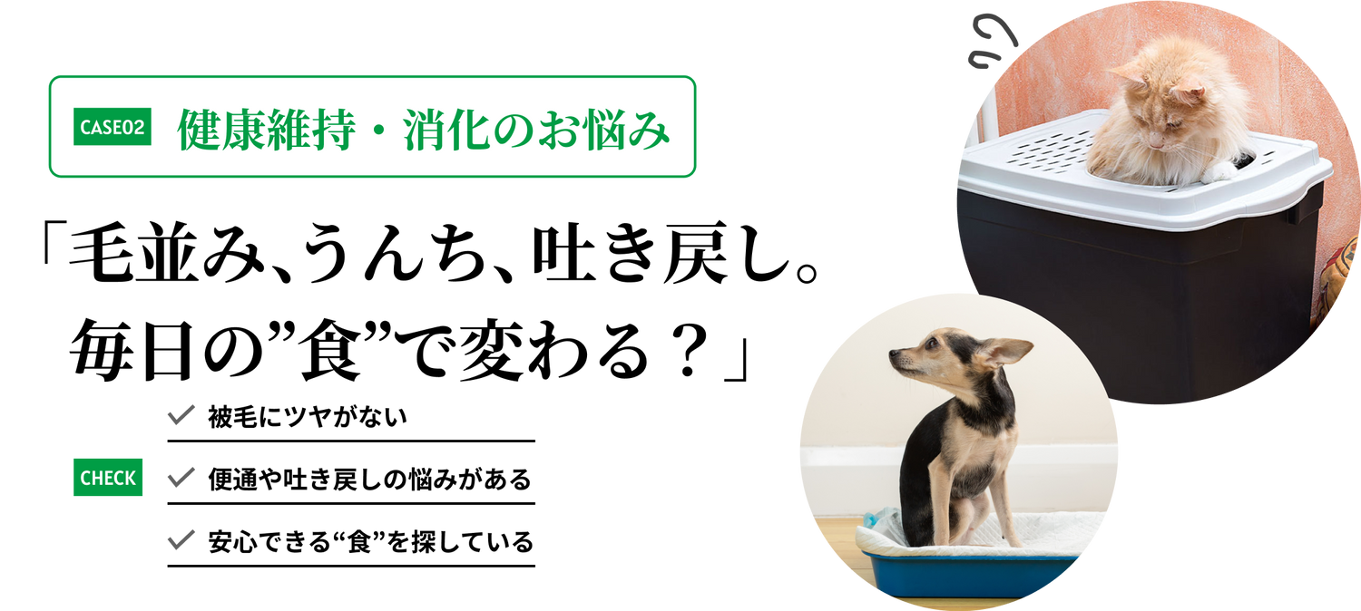 健康維持・消化のお悩み 被毛にツヤがない、便通や吐き戻しの悩みがある、安心できる“食”を探している