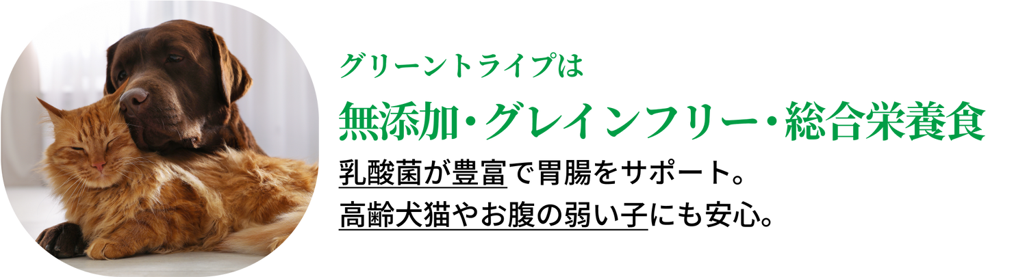 乳酸菌が豊富で胃腸をサポート。高齢犬猫やお腹の弱い子にも安心。