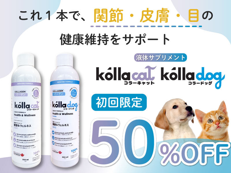 https://www.fanta-shop.jp/search?type=product&q=%E6%B6%B2%E4%BD%93%E3%82%B5%E3%83%97%E3%83%AA%E3%83%A1%E3%83%B3%E3%83%88
