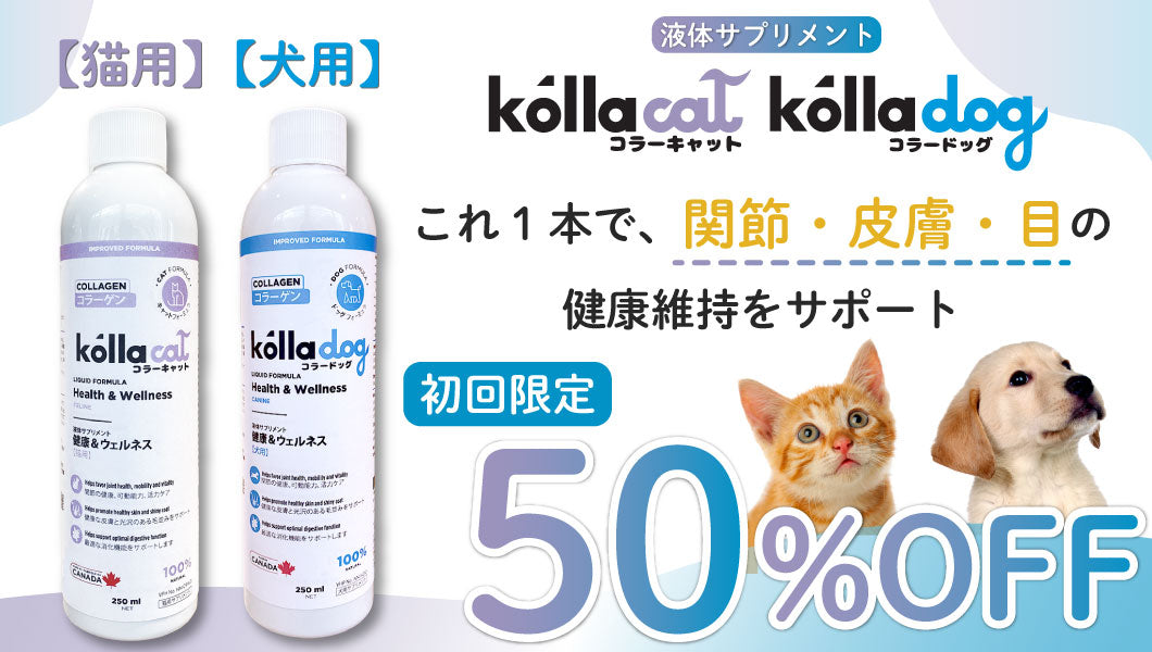 https://www.fanta-shop.jp/search?type=product&q=%E6%B6%B2%E4%BD%93%E3%82%B5%E3%83%97%E3%83%AA%E3%83%A1%E3%83%B3%E3%83%88