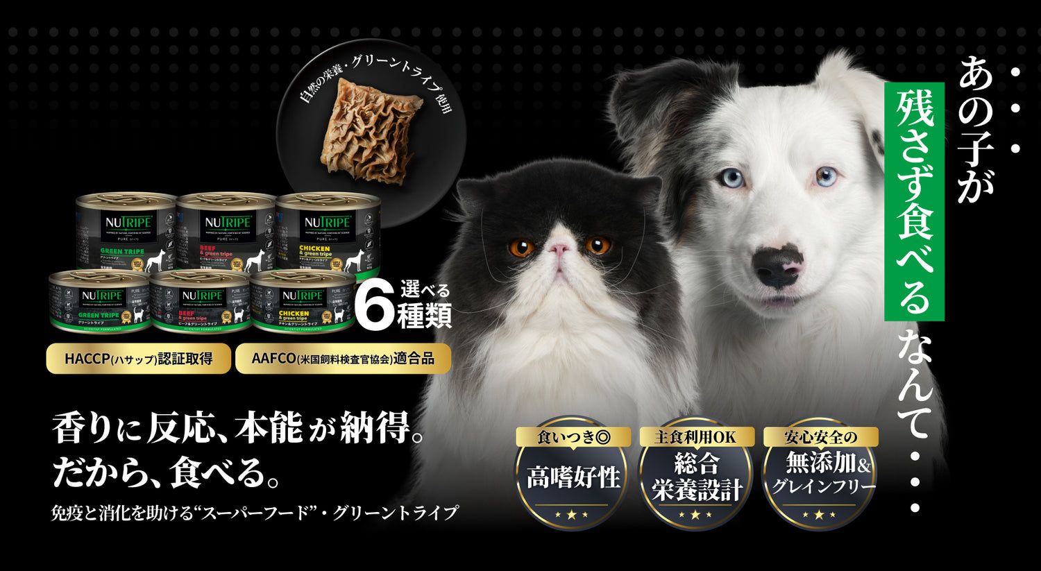 免疫と消化を助けるスーパーフード・グリーントライプ