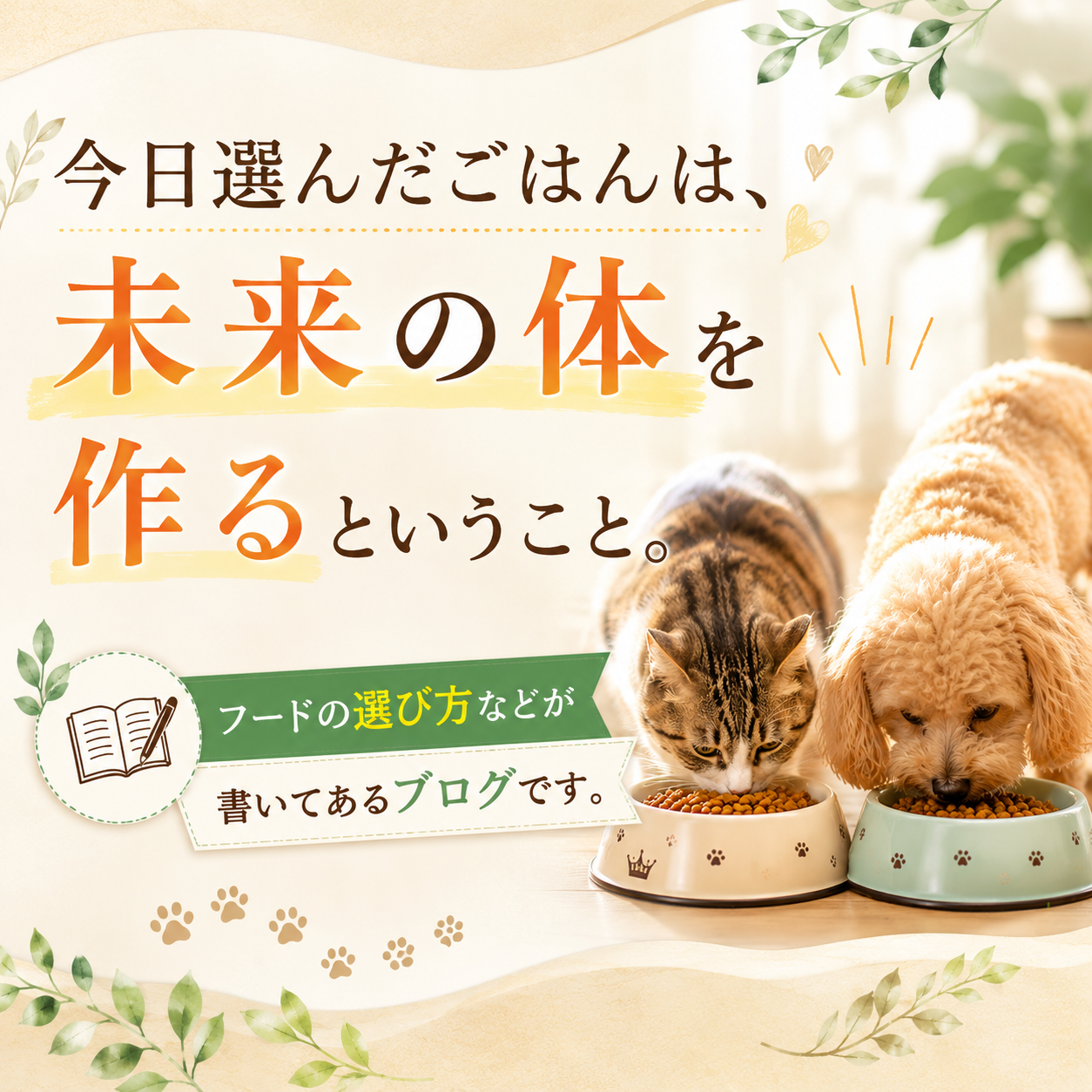 https://www.fanta-shop.jp/blogs/column/mainichi-gohan-kenko