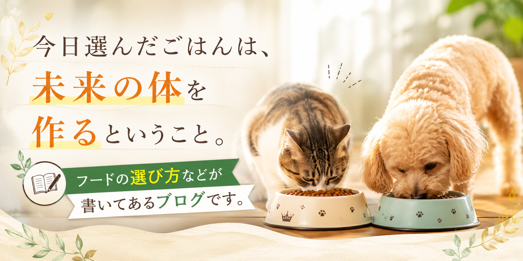 https://www.fanta-shop.jp/blogs/column/mainichi-gohan-kenko