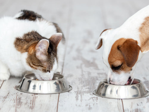 メリット04の写真