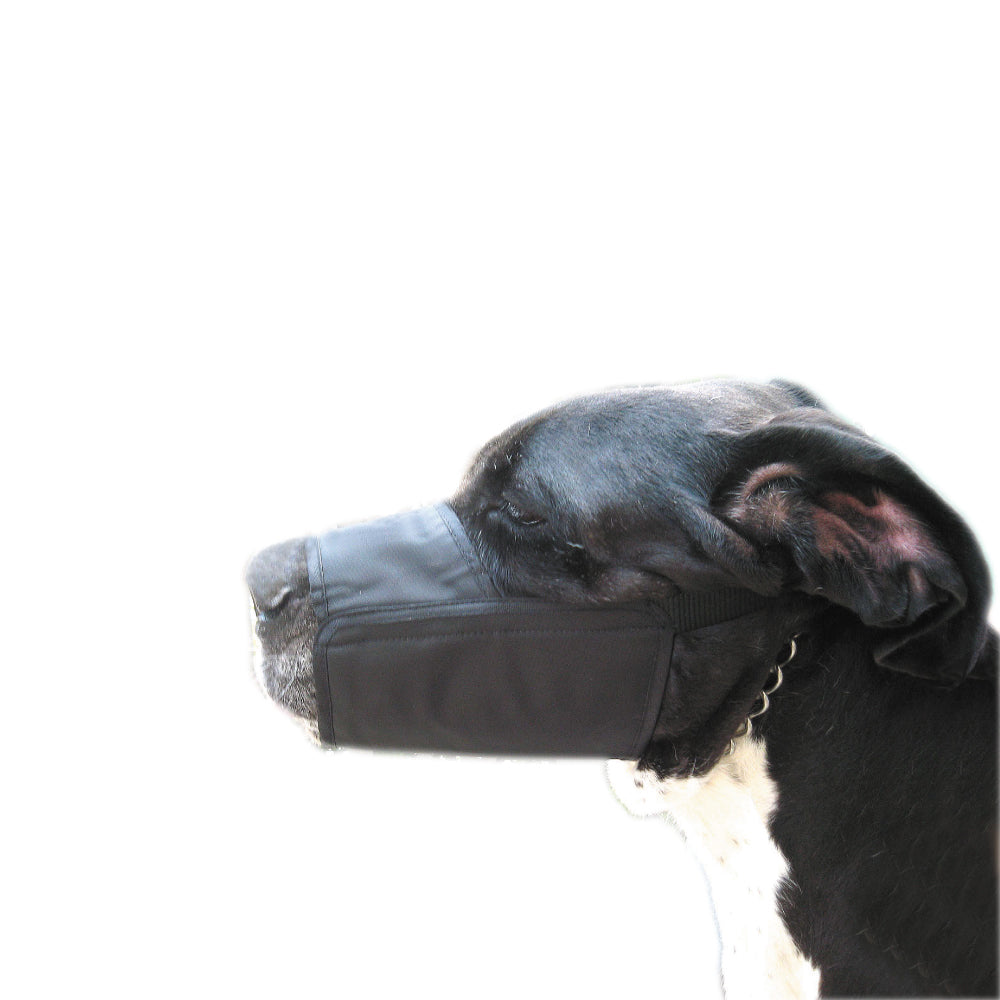 ナイロンマズル 無駄吠え防止口輪 – ファンタジーワールド [FANTASY WORLD]