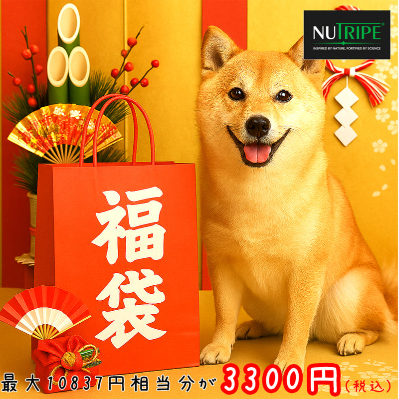 2026年【福袋】ニュートライプ 犬3300円