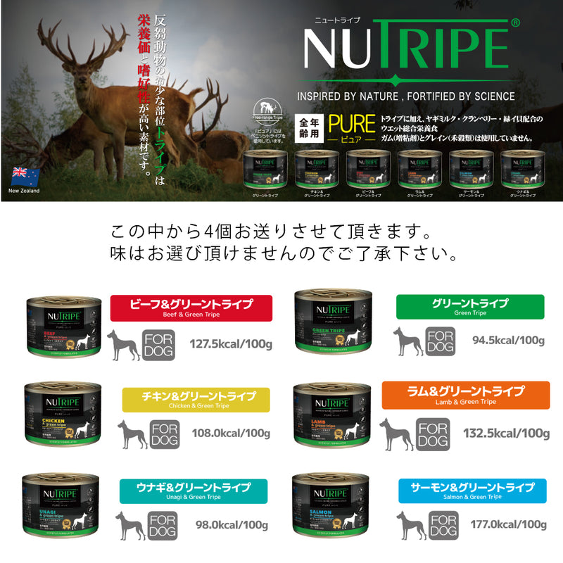 2026年【福袋】ニュートライプ 犬3300円