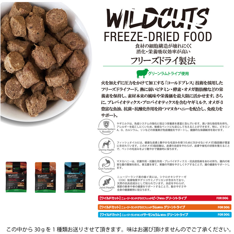 2026年【福袋】ニュートライプ 犬3300円