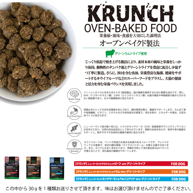 2026年【福袋】ニュートライプ 犬3300円