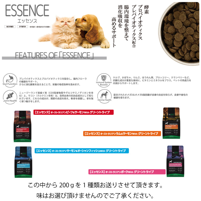 2026年【福袋】ニュートライプ 犬3300円