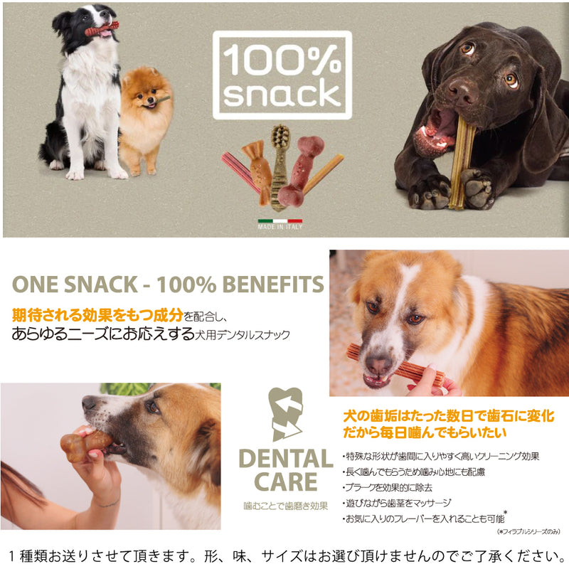 2026年【福袋】ニュートライプ 犬3300円