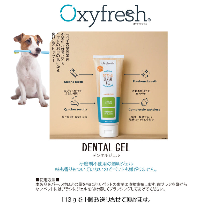 2026年【福袋】ニュートライプ 犬3300円