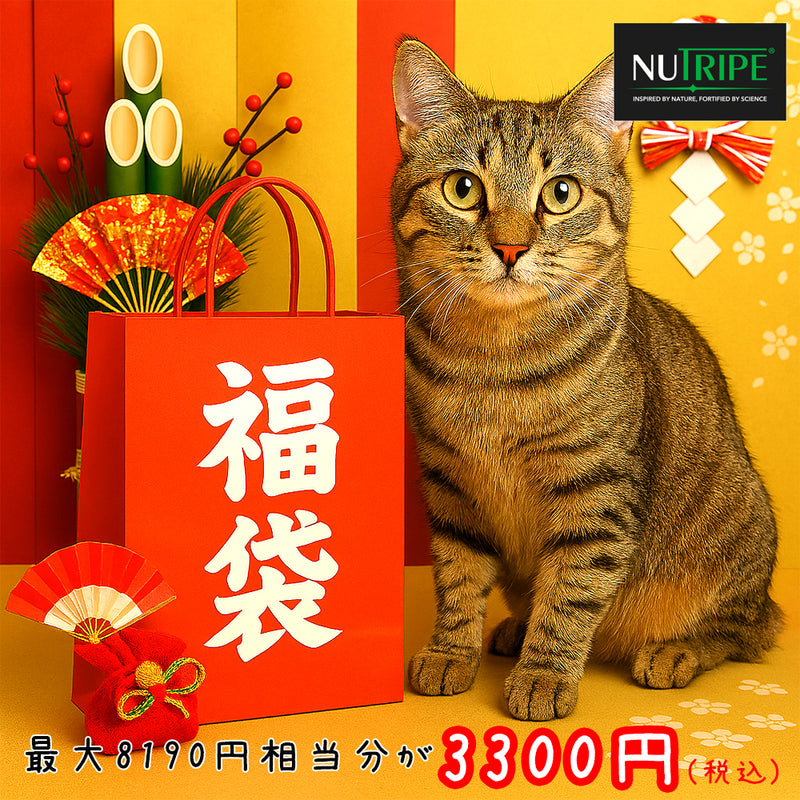 2026年【福袋】ニュートライプ 猫 3300円