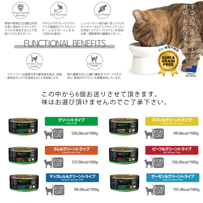 2026年【福袋】ニュートライプ 猫 3300円