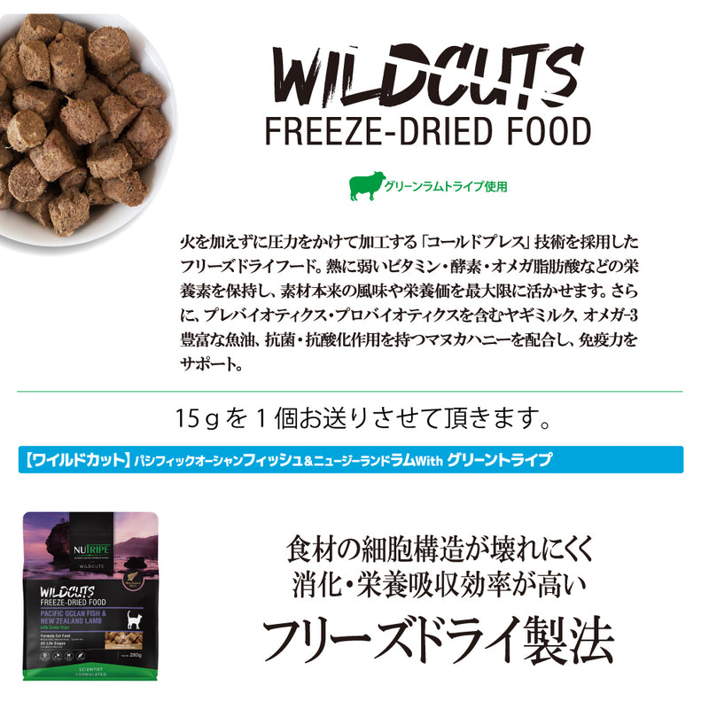 2026年【福袋】ニュートライプ 猫 3300円