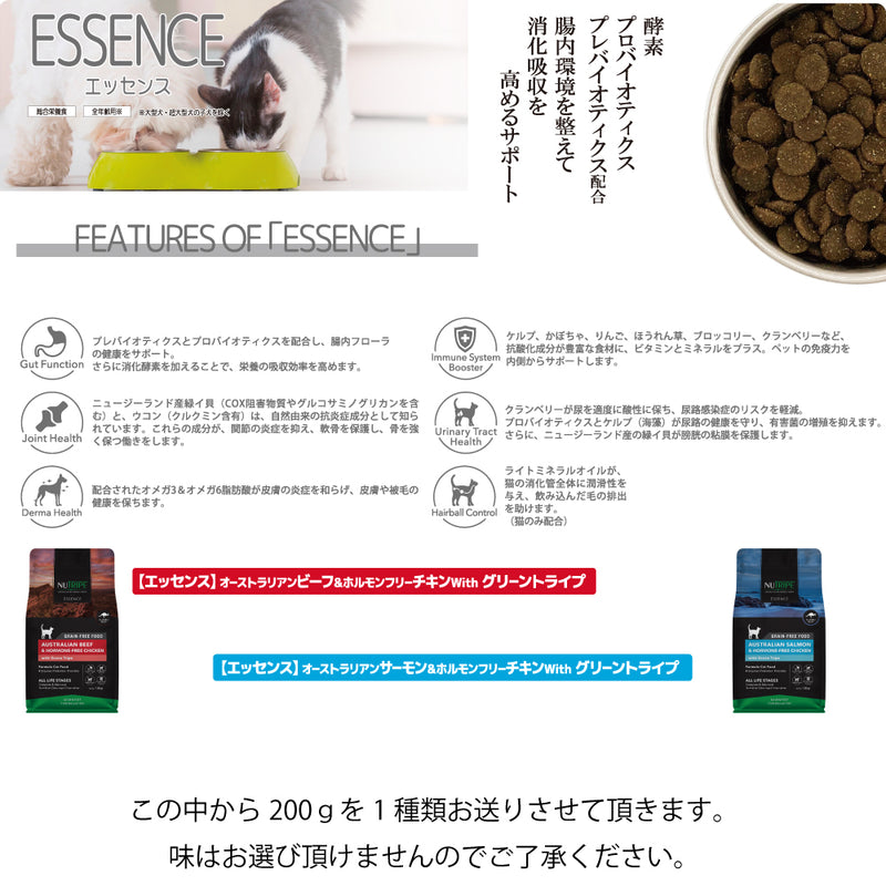 2026年【福袋】ニュートライプ 猫 3300円