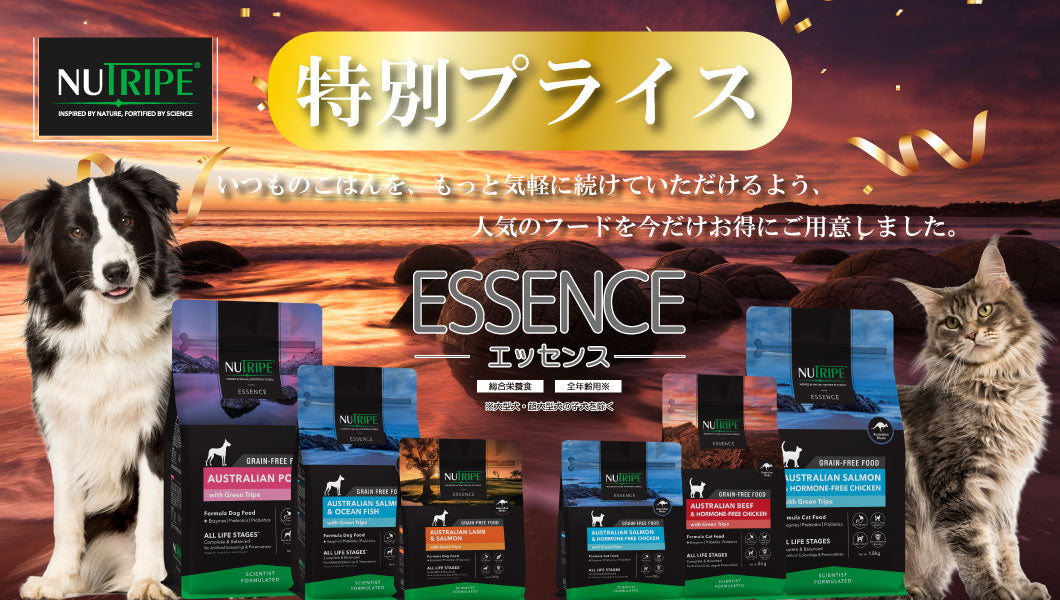 https://www.fanta-shop.jp/search?type=product&q=%E3%82%A8%E3%83%83%E3%82%BB%E3%83%B3%E3%82%B9