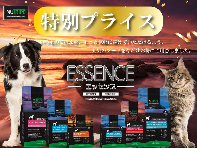 https://www.fanta-shop.jp/search?type=product&q=%E3%82%A8%E3%83%83%E3%82%BB%E3%83%B3%E3%82%B9
