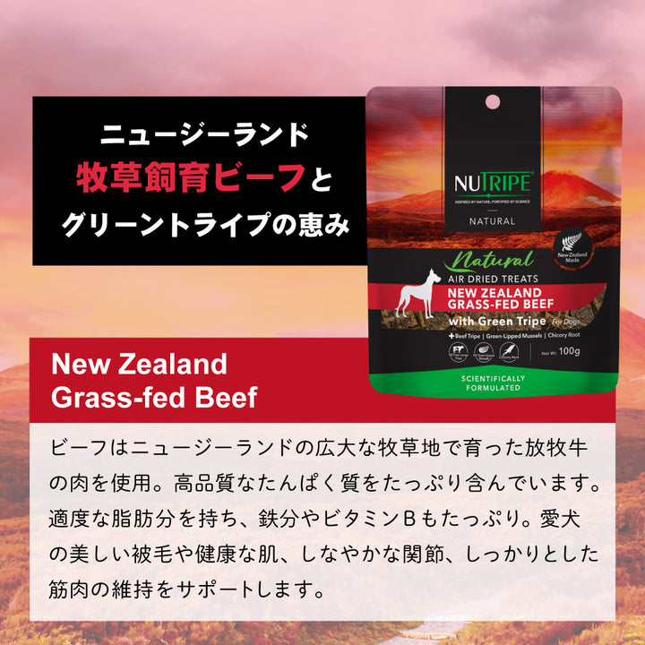 BRUNT トライポッド・トライベーションセット　オリーブ　新品未使用品 ナチュラル エアードライ トリーツ 選べる2種類 100g ニュートライプ