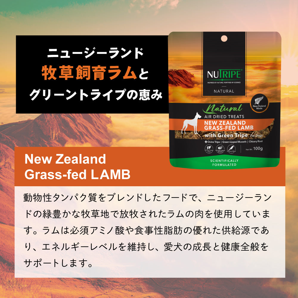 nut_ad12_1080x.jpg?v=1743135536