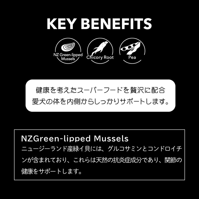 ナチュラル　エアードライ  トリーツ  選べる２種類  100ｇ ニュートライプ 犬 おやつ