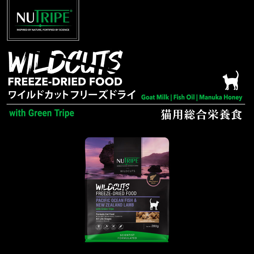 nut_fd1_1080x.jpg?v=1749171233