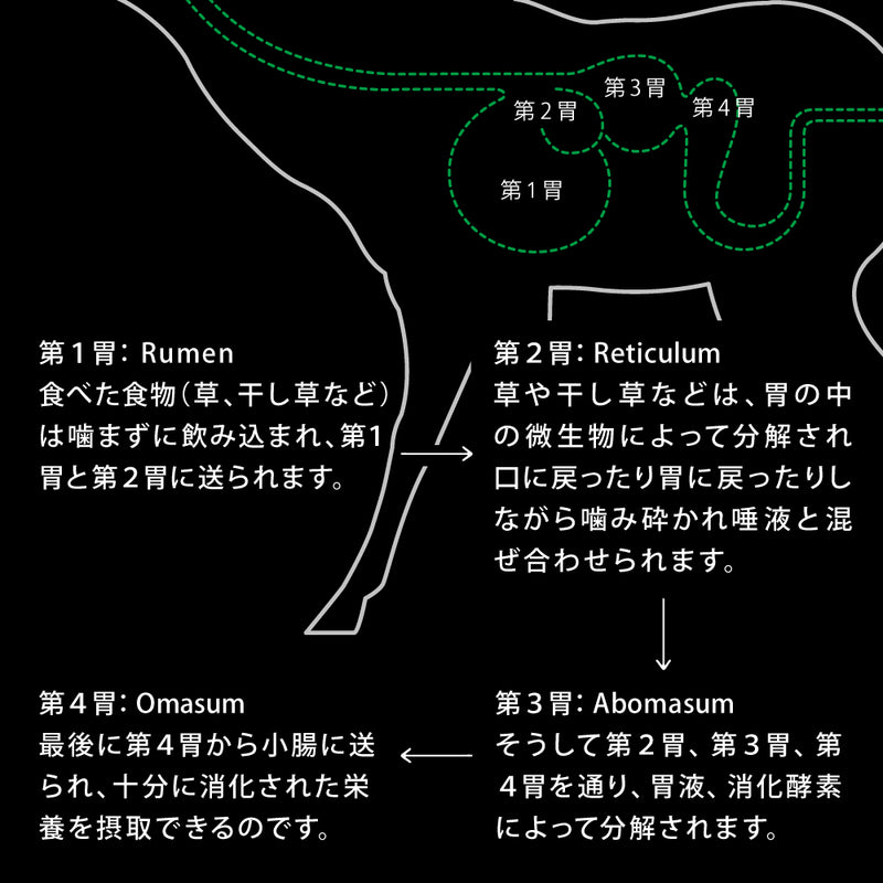 ドライフード キャット  ワイルドカット  フリーズドライ　フィッシュ＆ラムｗｉｔｈグリーントライプ  総合栄養食 ニュートライプ
