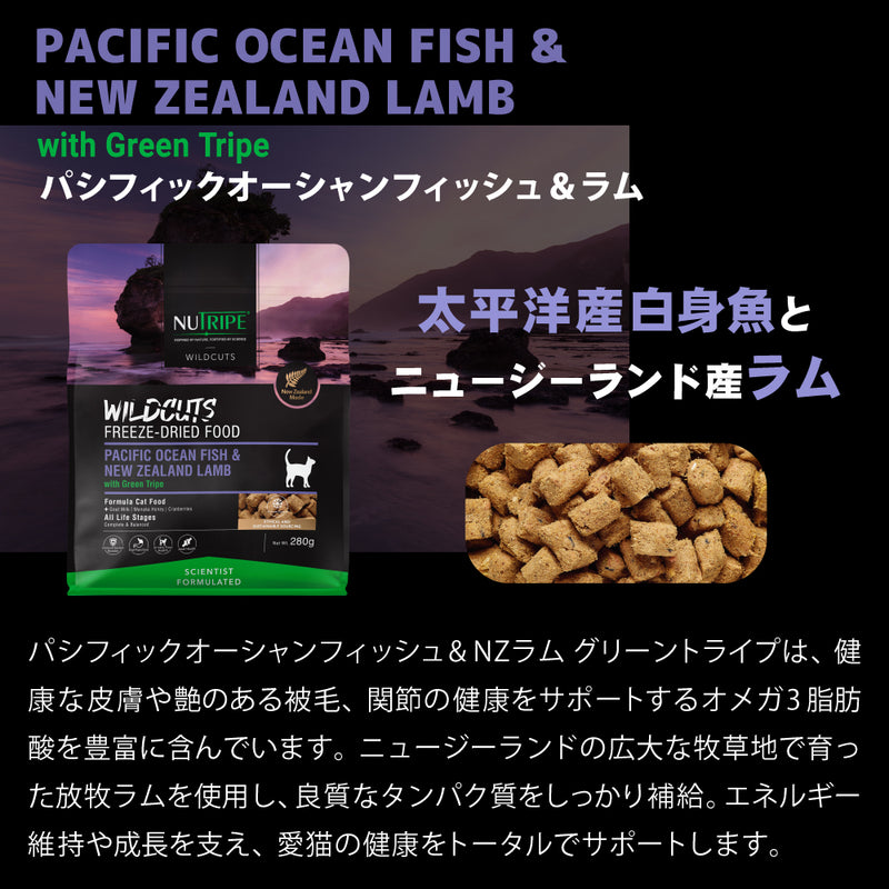 ドライフード キャット  ワイルドカット  フリーズドライ　フィッシュ＆ラムｗｉｔｈグリーントライプ  総合栄養食 ニュートライプ
