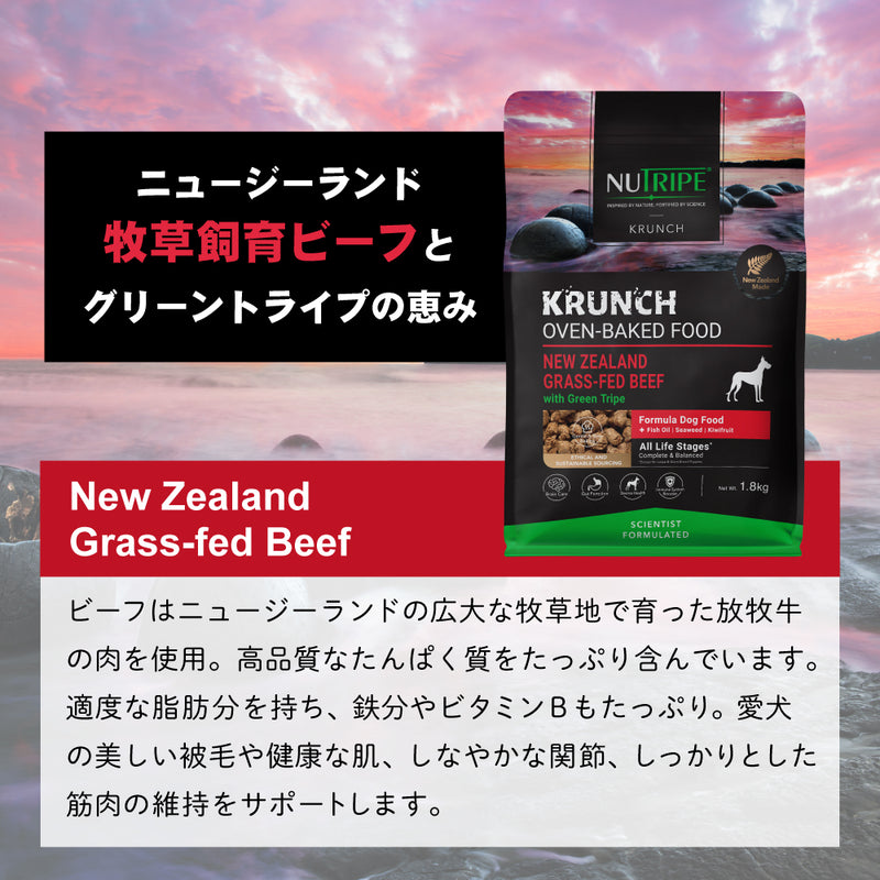 ドライフード 犬 クランチ  選べる３種  総合栄養食 ニュートライプ  オーブンベークド製法