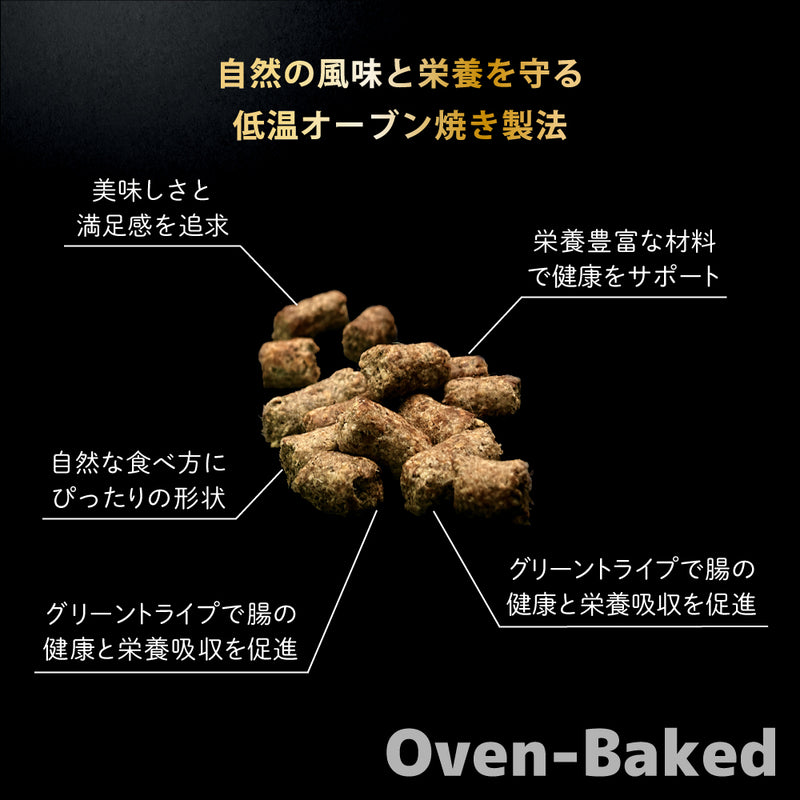 ドライフード 犬 クランチ  選べる３種  総合栄養食 ニュートライプ  オーブンベークド製法