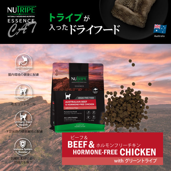 期限切迫特価】【40％OFF】賞味期限26/11/30 ビーフ＆チキン＆グリーン