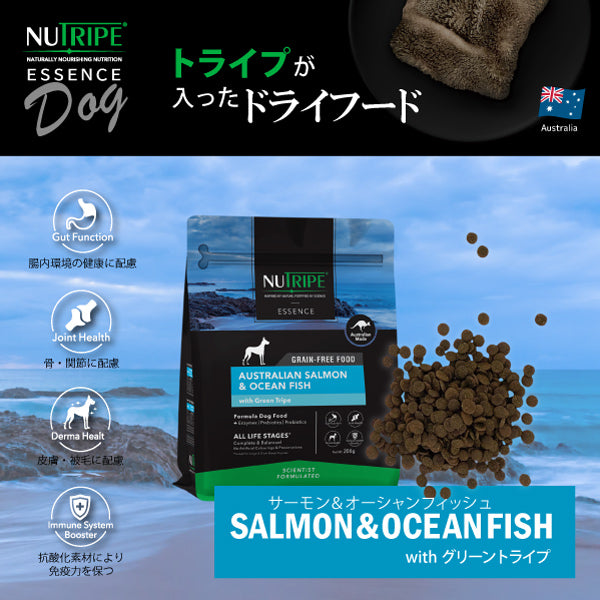 GW限定価格！！ドッグフード ドライフード 18kg ドッグフード・ フリーズドライ ページ1 | GREEN DOG & CAT