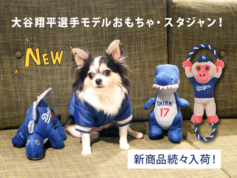 https://www.fanta-shop.jp/collections/newitem