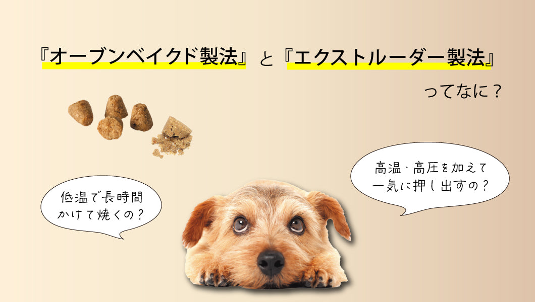 https://www.fanta-shop.jp/blogs/column/oven-baked-formula