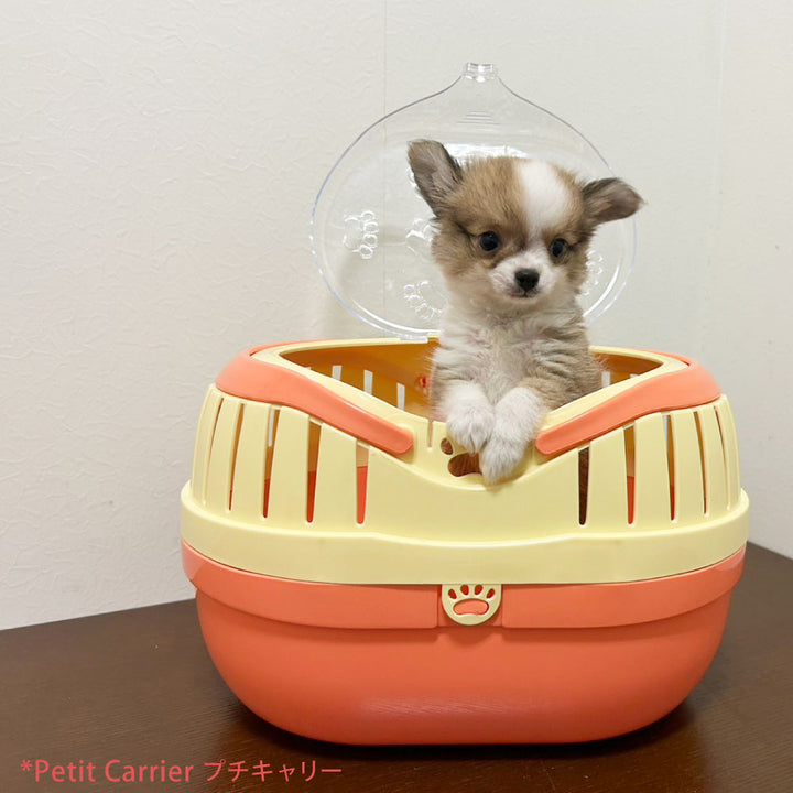 Blythe 海外作家 アーティスト 小劇場の置物 小犬の荷車 ブライス公式サイト | blythedoll.com